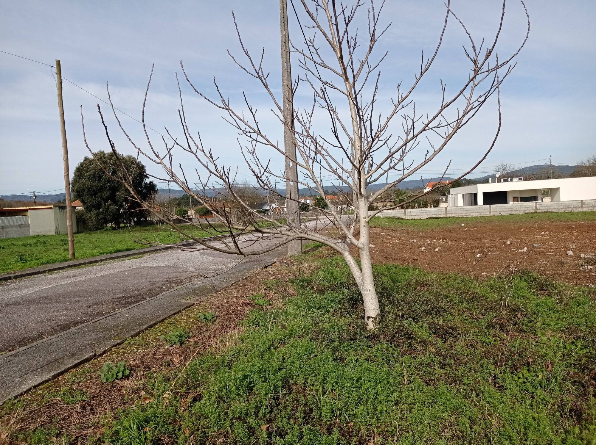 Terreno urbano para construção de moradia em V.N.Cerveira