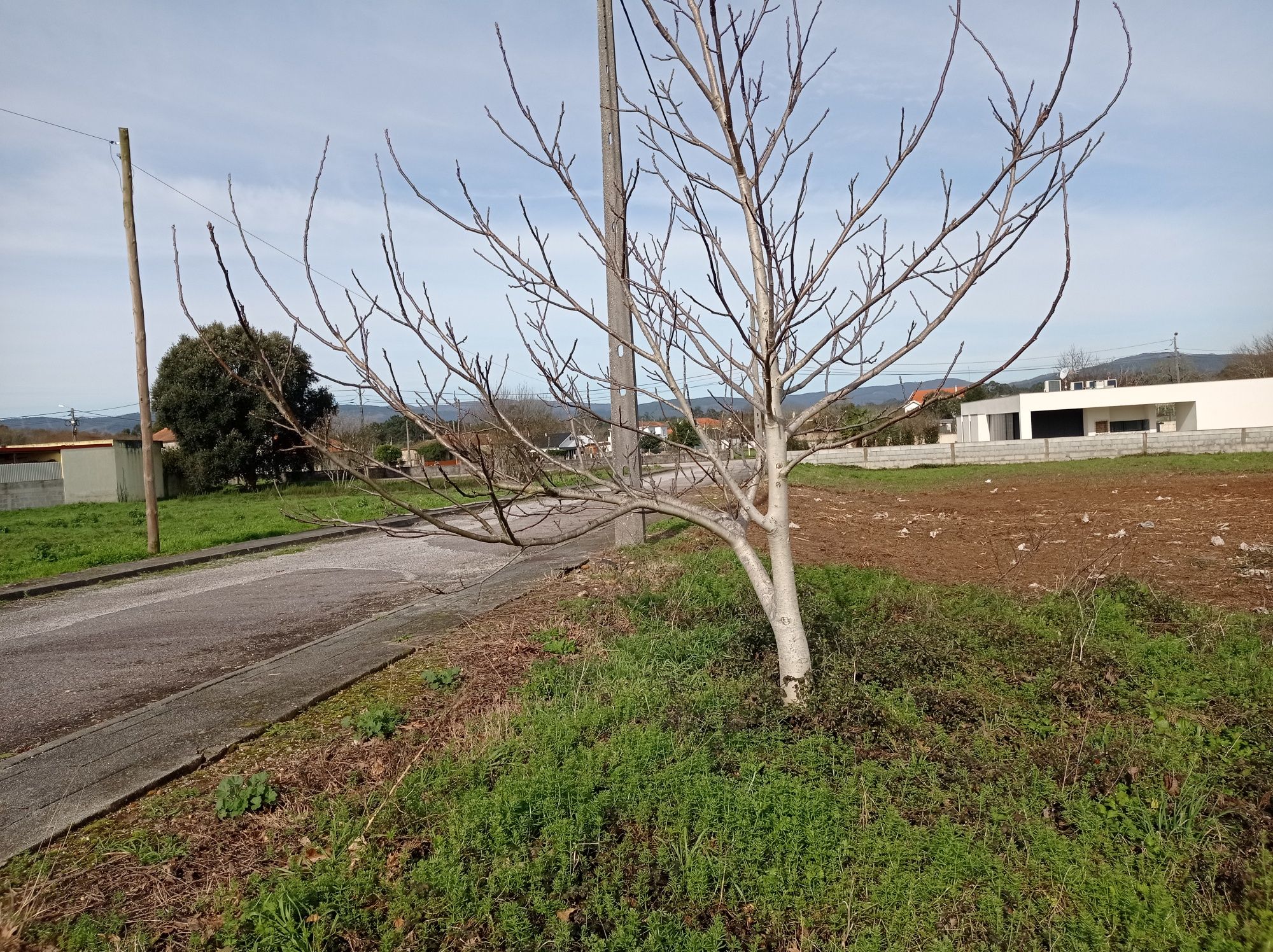 Lote terreno  junto rio Minho em  V.N.Cerveira