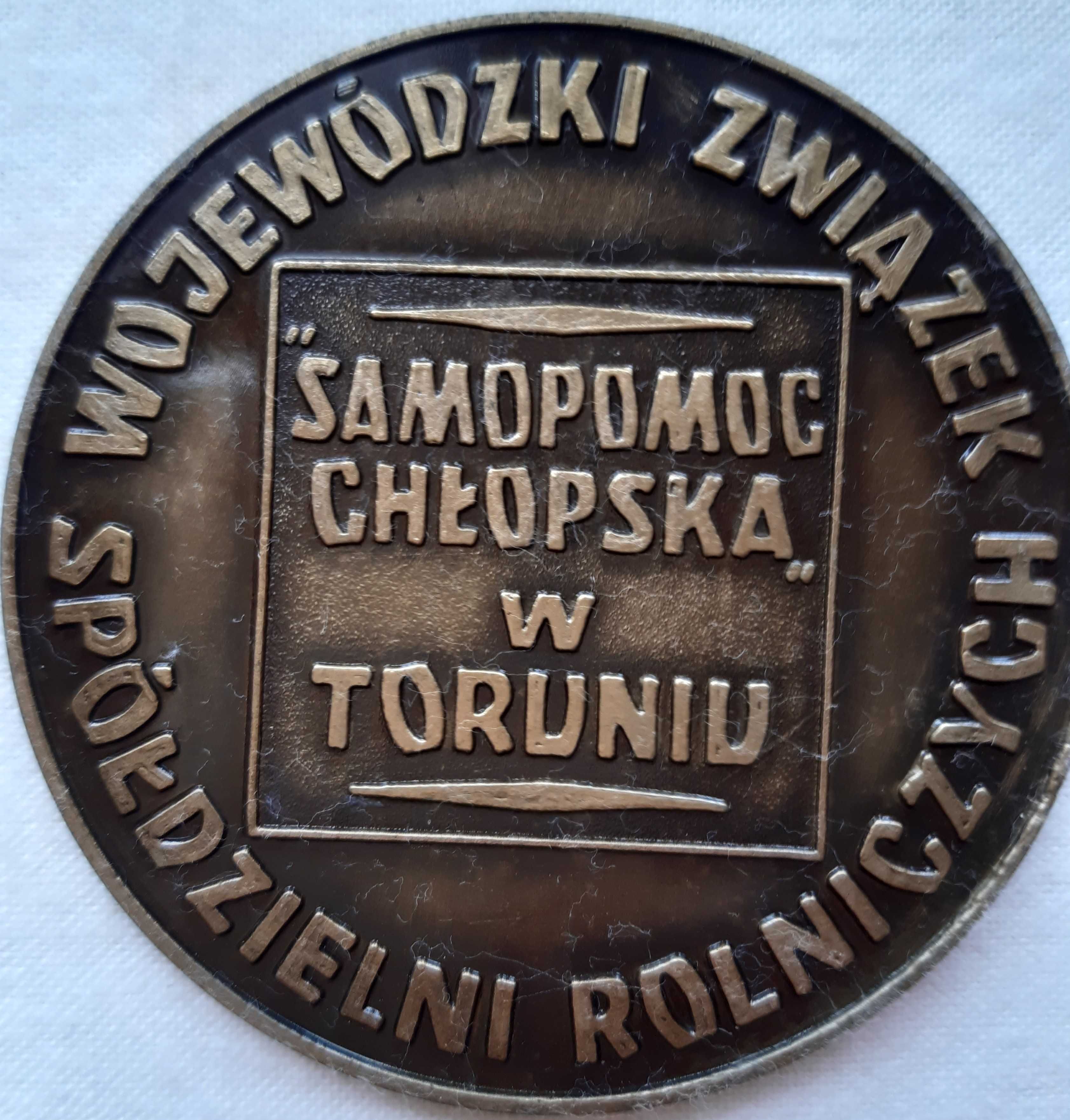 Odznaka Zasłużony dla WZSR medal odznaczenie