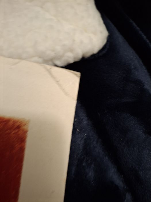 Manuel Rivera serigrafia