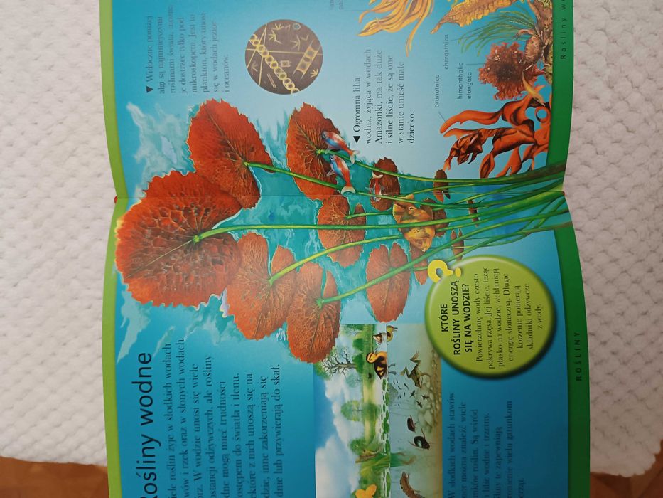 Wszystko co warto wiedzieć