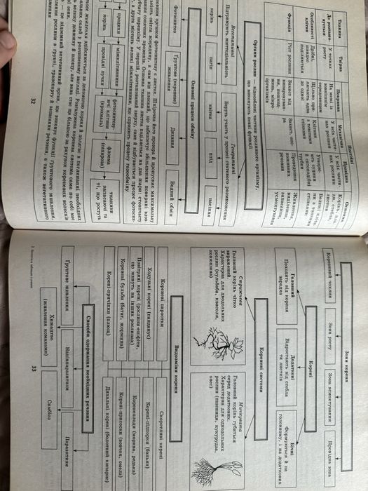 Біологія в таблицях і схемах