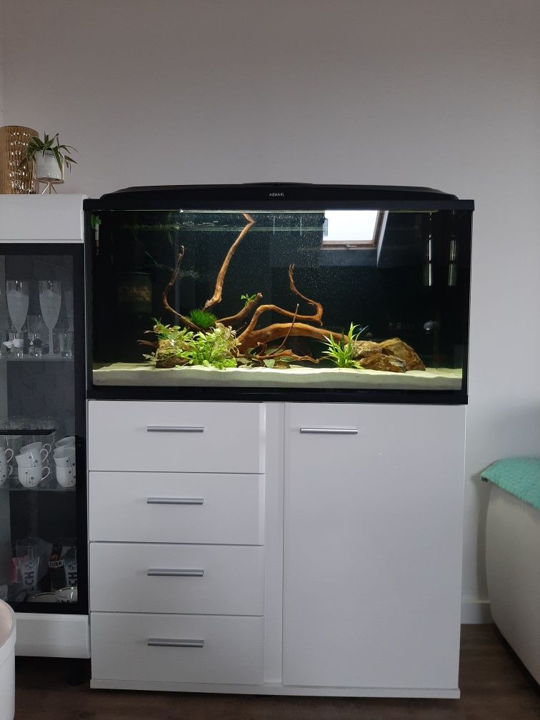 Akwarium 200L z szafką
