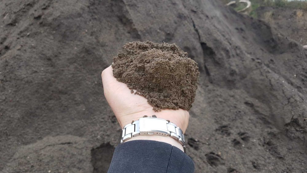 ziemia siana, humus, ziemia zwykła, ogrodowa, czarnoziem, pod trawnik