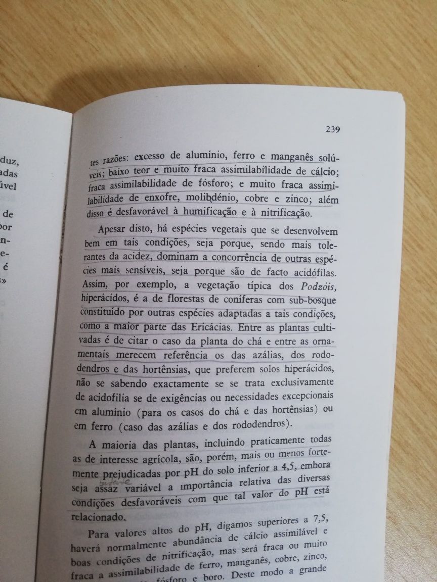 Características e constituição do solo