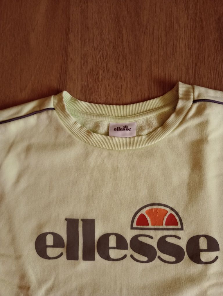 Bluza młodzieżowa Ellesse /S /wiosna