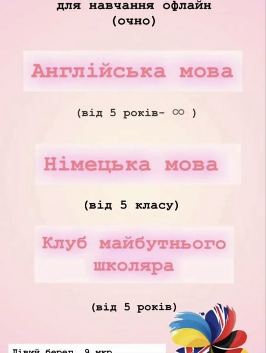Англійська школа (Камʼянське, лівий берег)