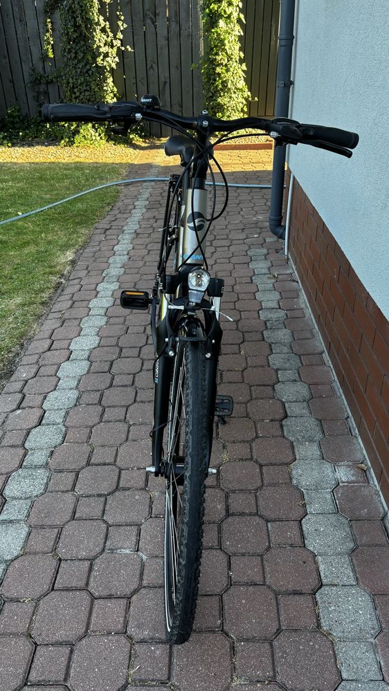 Rower męski GIANT Argento