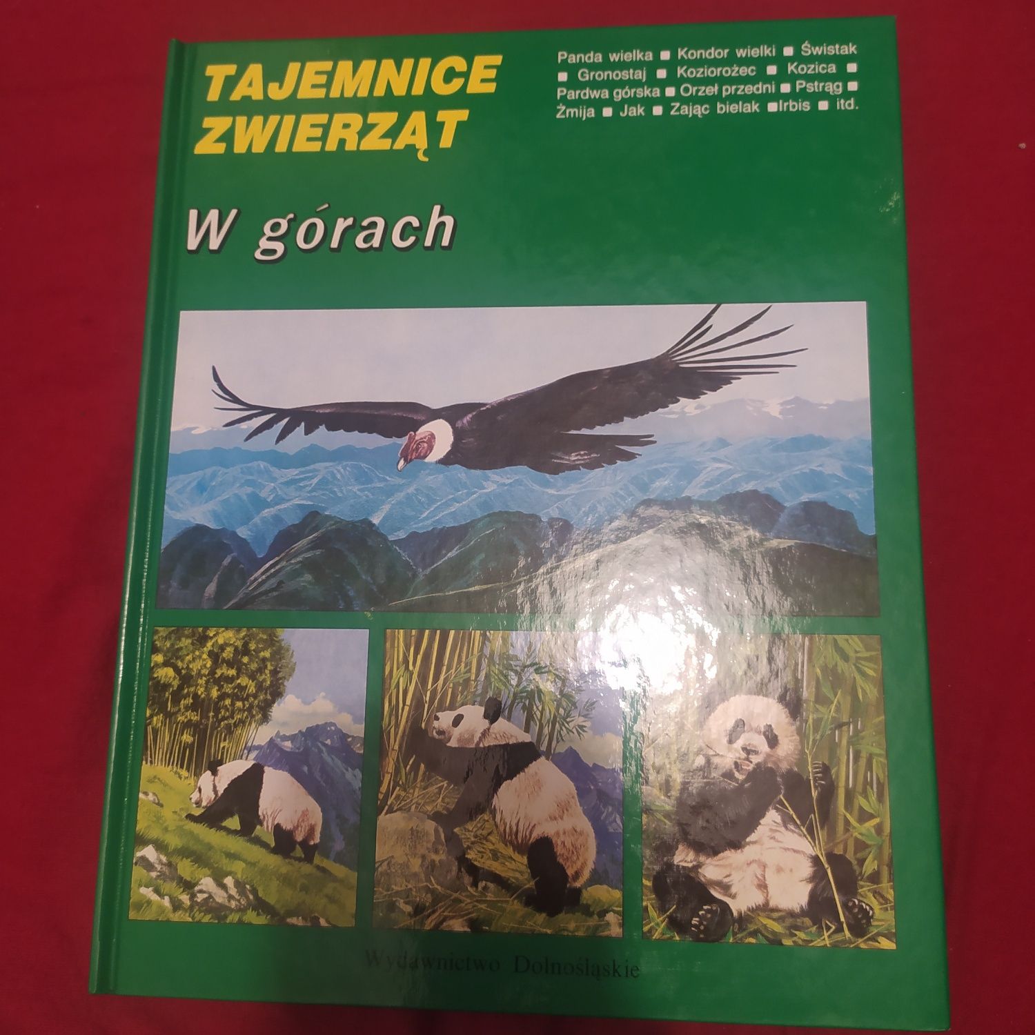 W górach. Tajemnice zwierząt