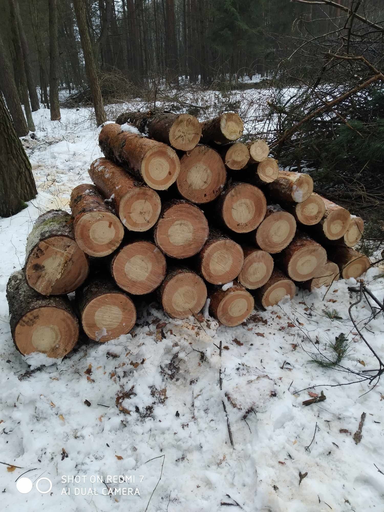 Koszenie karczowanie odchwaszczanie porządkowanie mycie fotowoltaiki