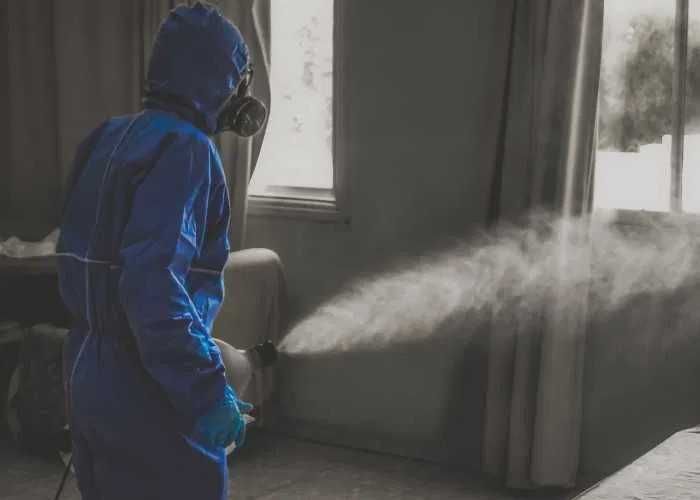 Odgrzybianie ozonowanie dezynfekcja mieszkań, domów, lokali użytkowych