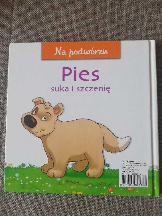 Książeczka DeAgostini Wesoła Farma, nr 6 Pies