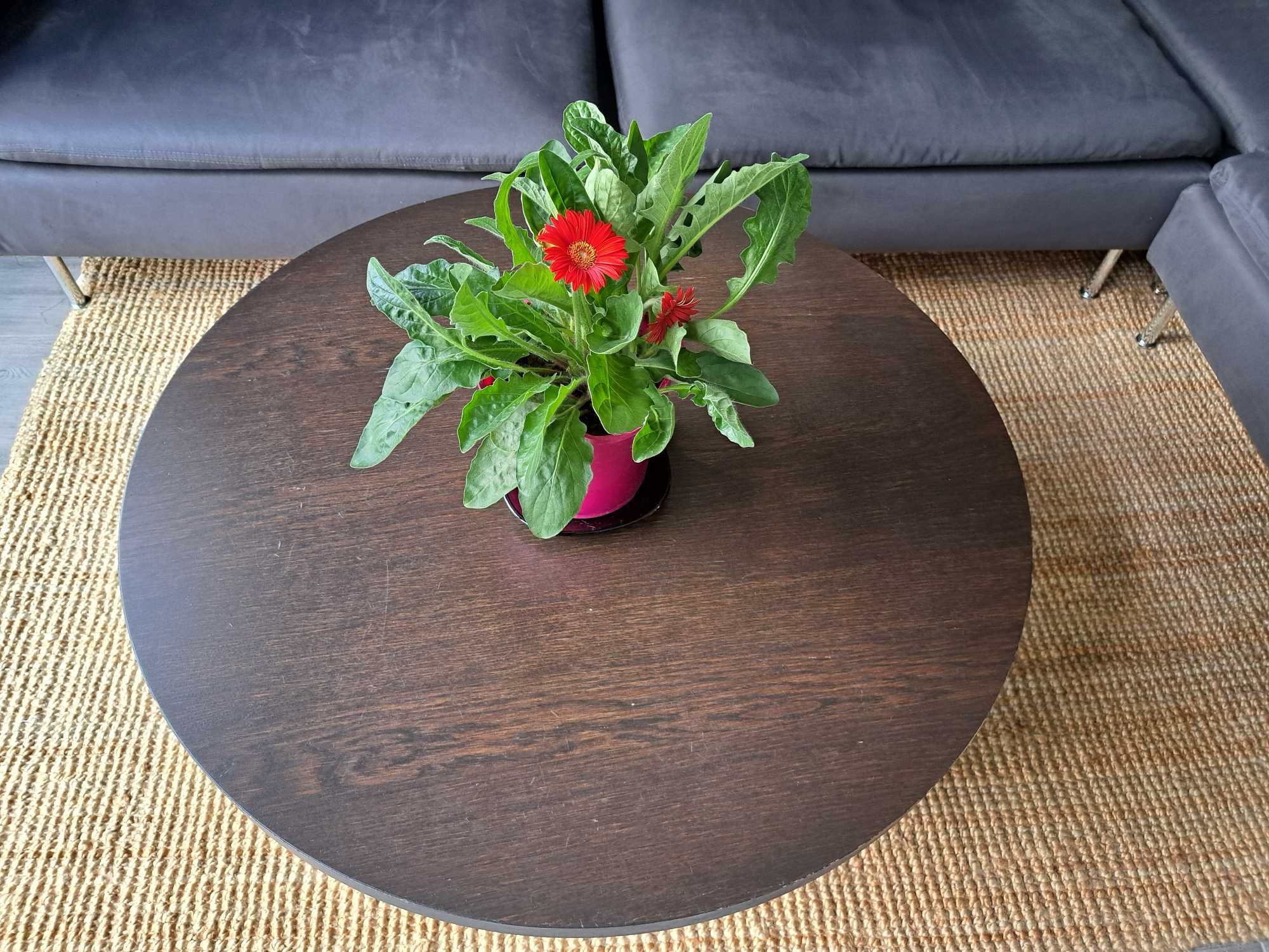 Stolik kawowy z drewna 90cm