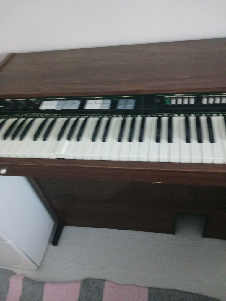 Órgão  / piano eléctrico