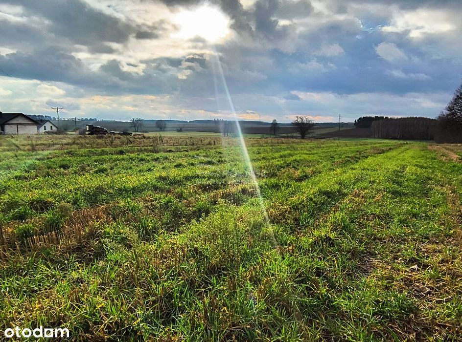 Wyjątkowe działki nad zalewem w Janowie Podlaskim