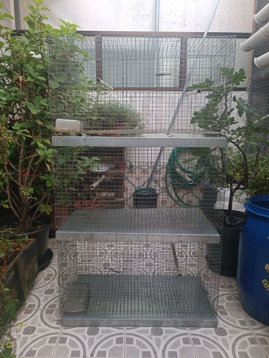 Aves - Conjunto de 3 gaiolas reprodução, agapórnis, caturras, periquit