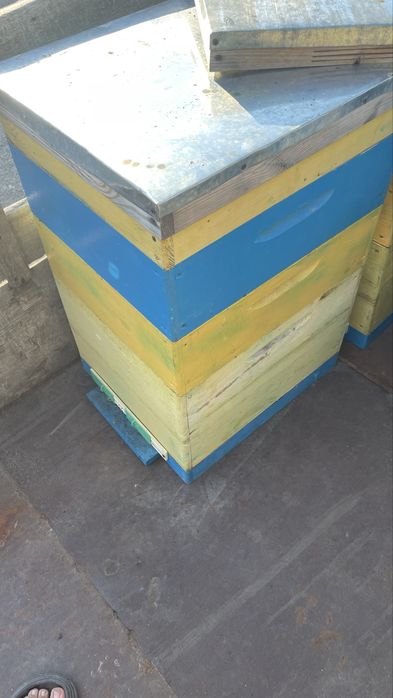 Продаи пчелинье улья