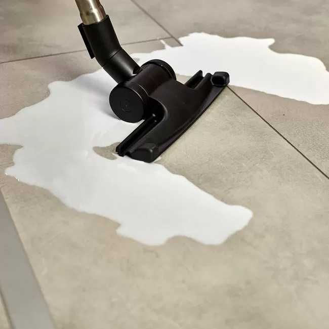 Aspirador Polti Lecologico Forzaspira Allergy Parquet