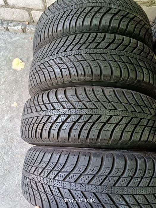 Зимняя 195 65 15