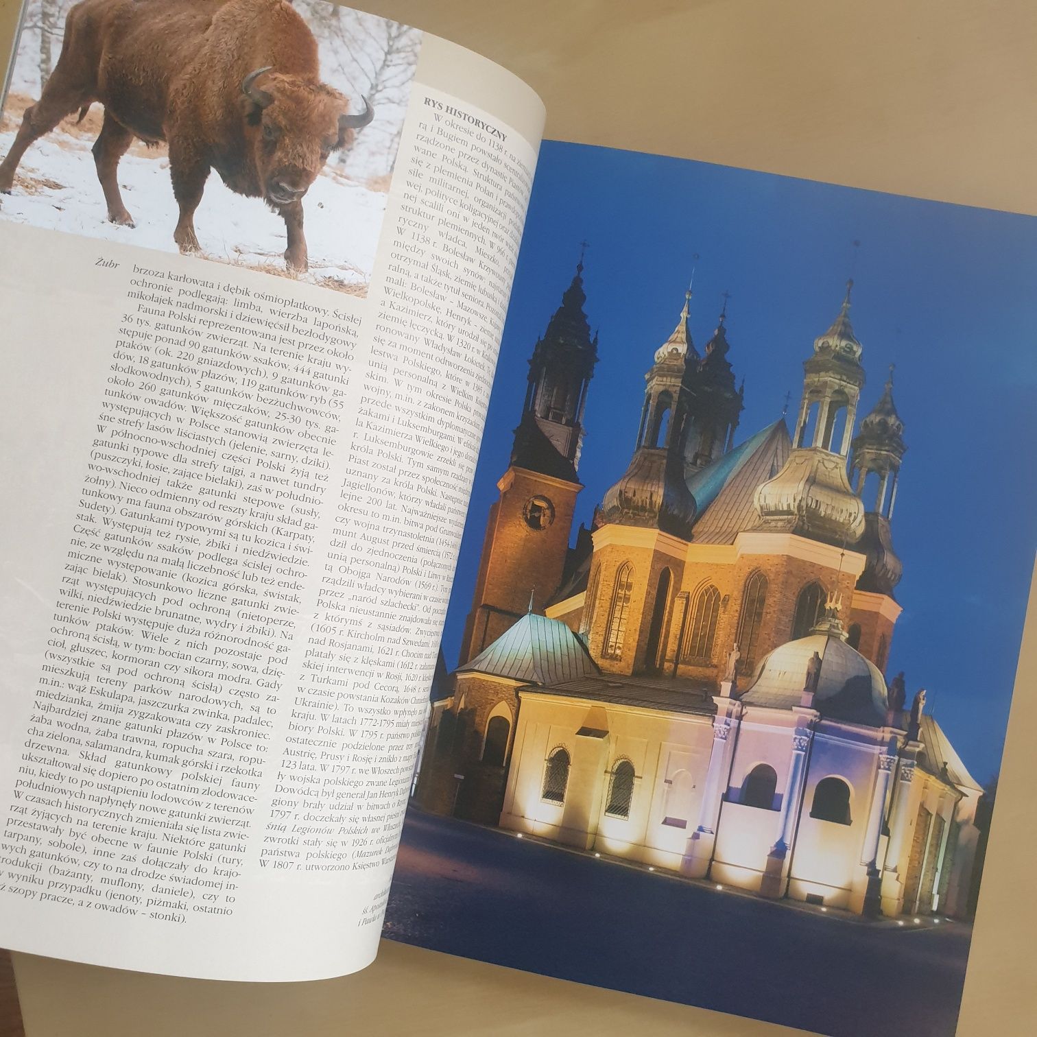Leksykon wiedzy Polska i Kraje ościenne Album