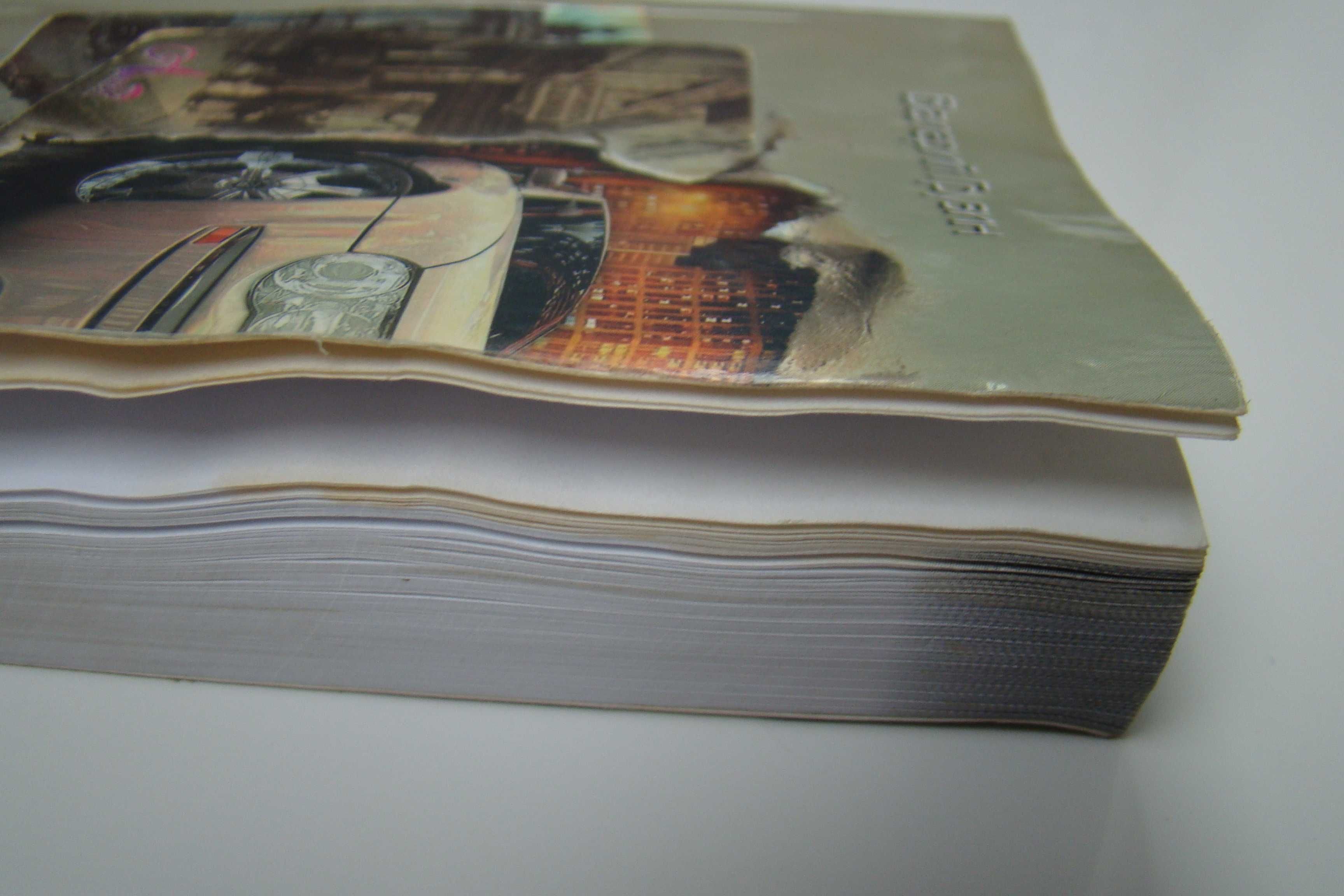 Книга "Гибель Киева", автор Валерий Грузин, 2008 год, тираж 2000 экз.