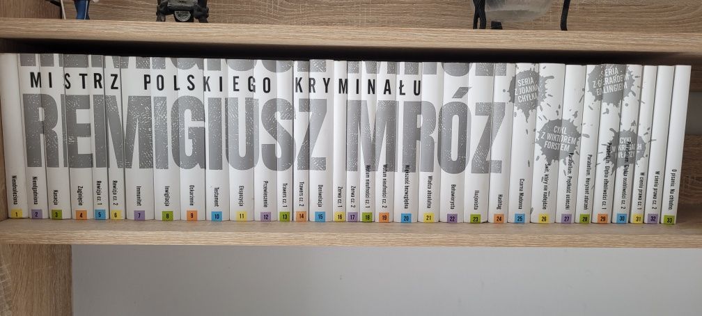 Kolekcja książek Remigiusza Mroza