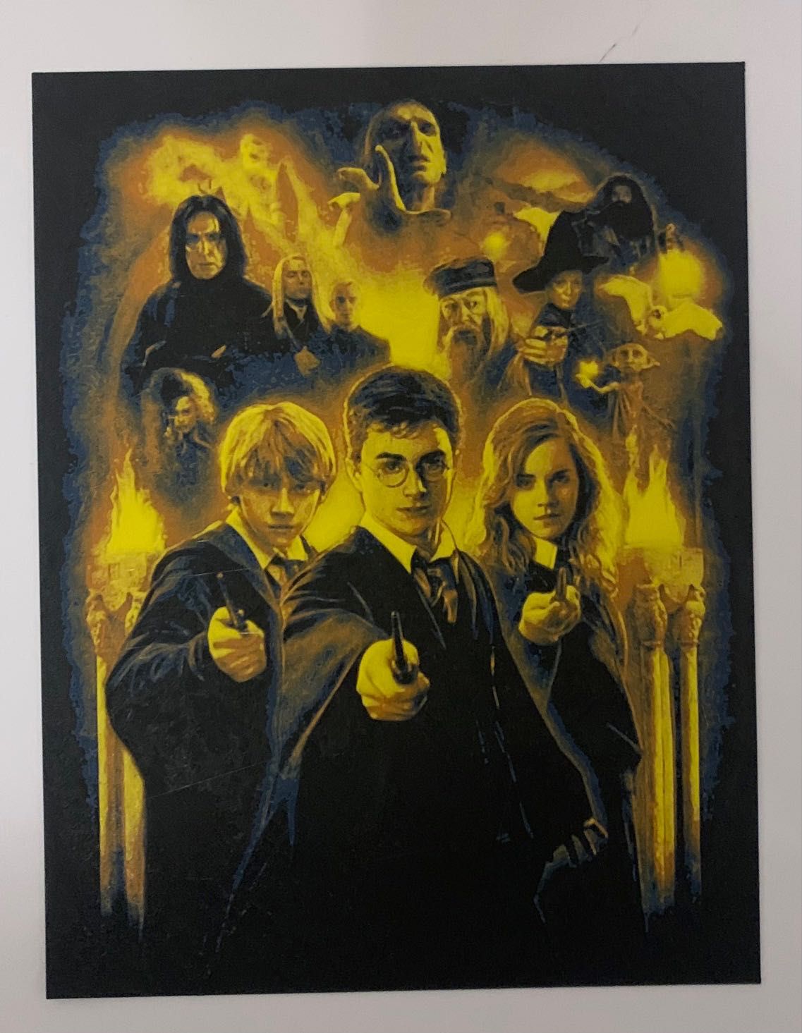 obraz ala Harry Potter 22x17 płaskorzeźba litografia 3D hueforge druk