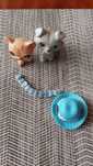 Littlest pet shop