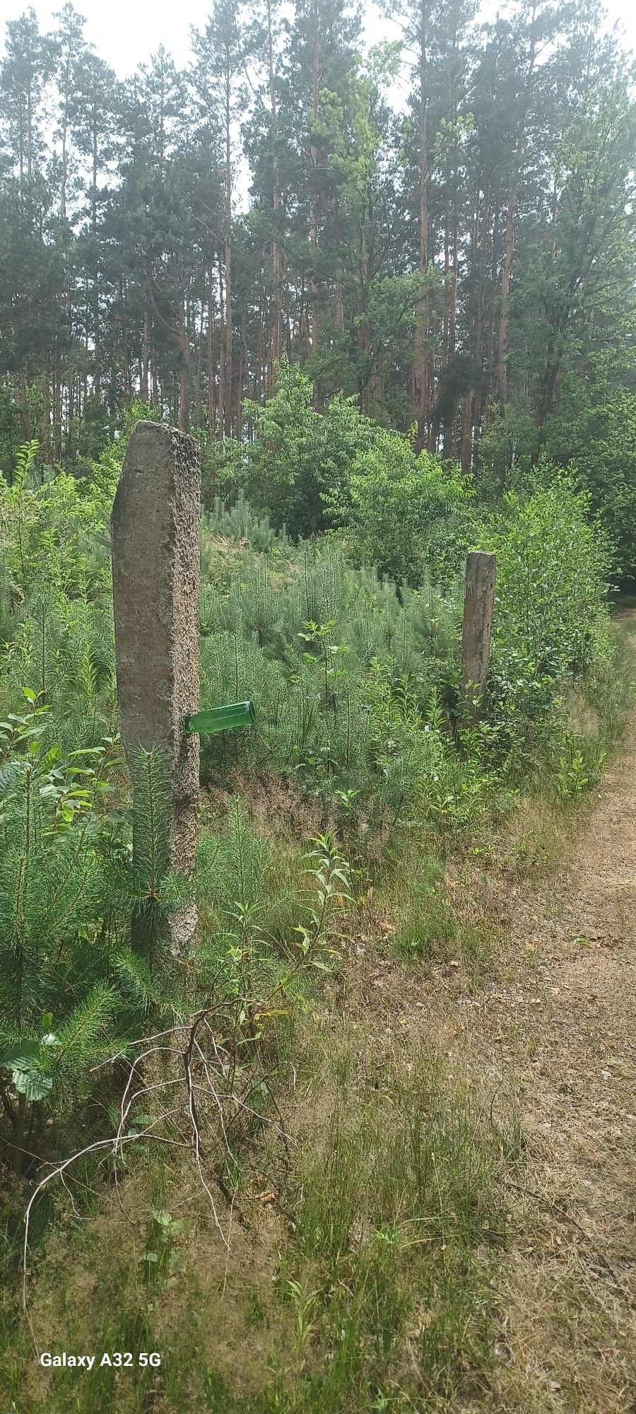 Działka rekreacyjna las 110a