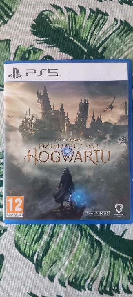 Hogwart Legacy PS5 PL