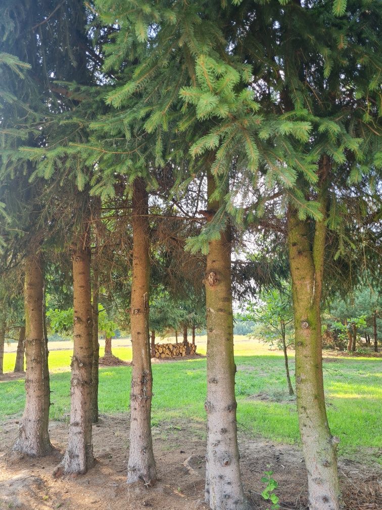 Sprzedam działkę budowlaną 1500m2