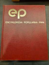 Encyklopedia popularna PWN 1991