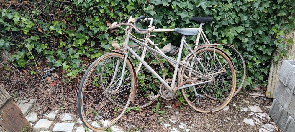 Bicicleta vintage feminina IMPERIA