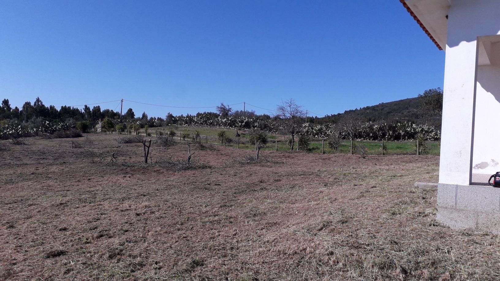 Limpeza de terrenos