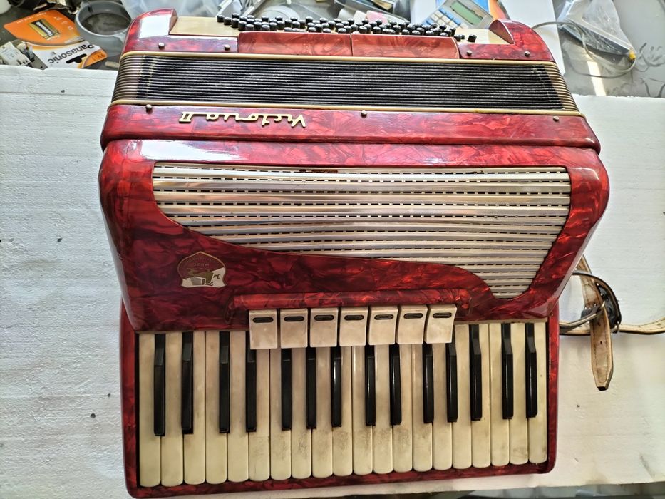 Akordeon wiktoria2