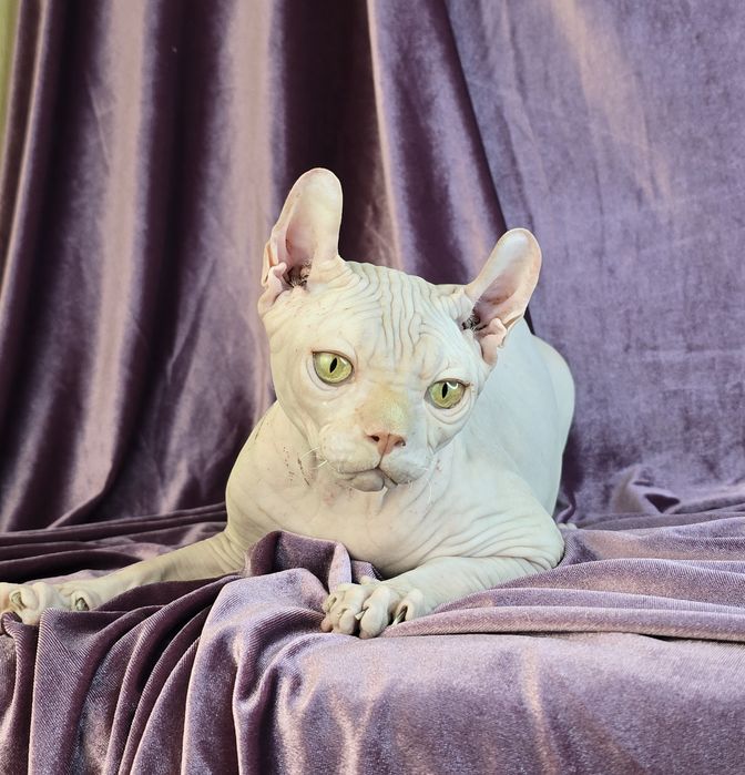 Ельф хлопчик кремовый