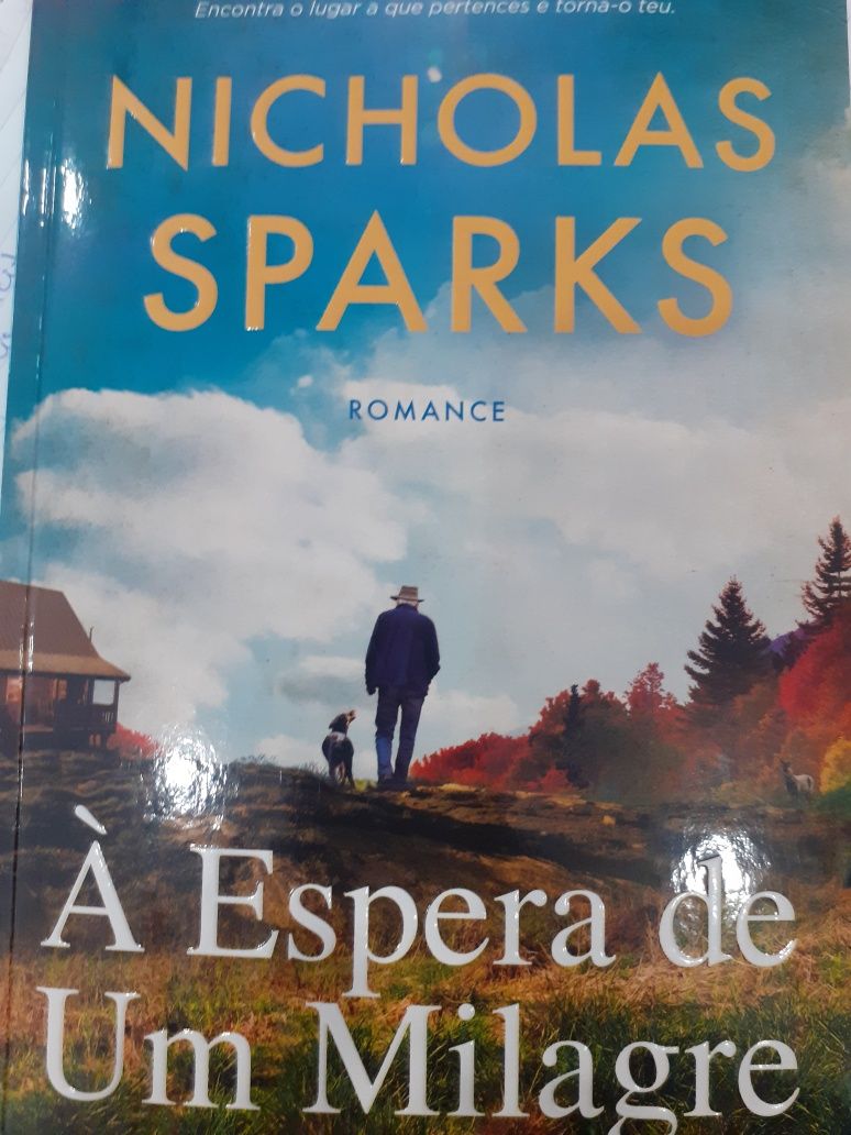 À espera de um milagre, de Nicholas Spark