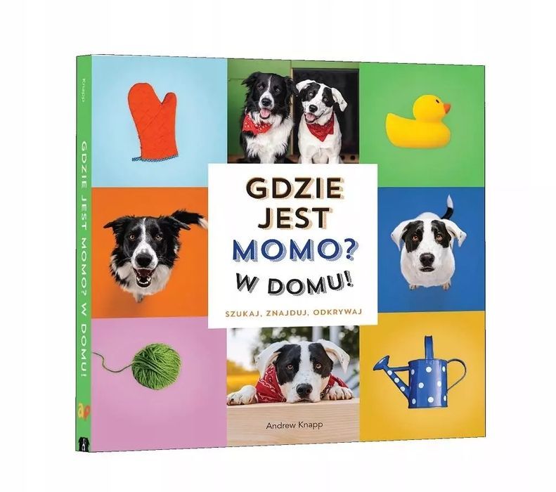 Gdzie jest Momo W domu. Api Papi
