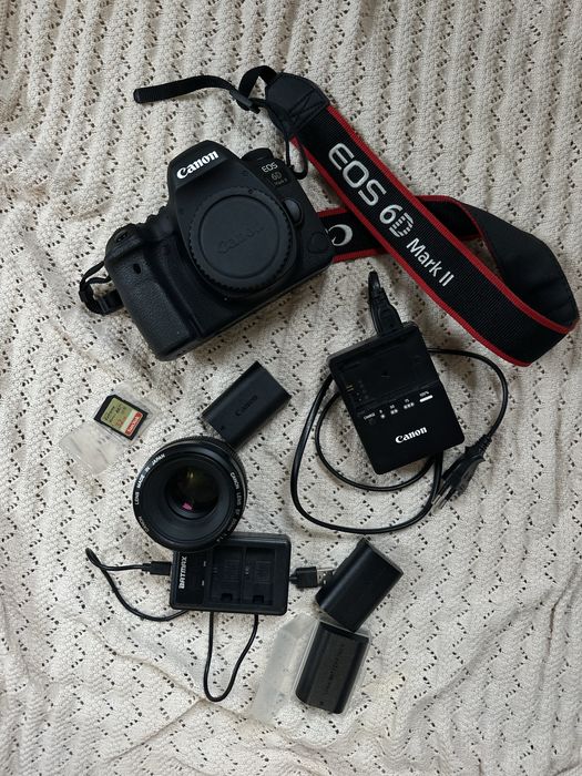 Canon EOS 6D Mark II + Canon EF 50mm f/1.4 USM
