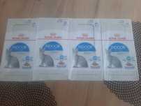 Royal canin INDOOR Sterilised sos i galareta 24x85g