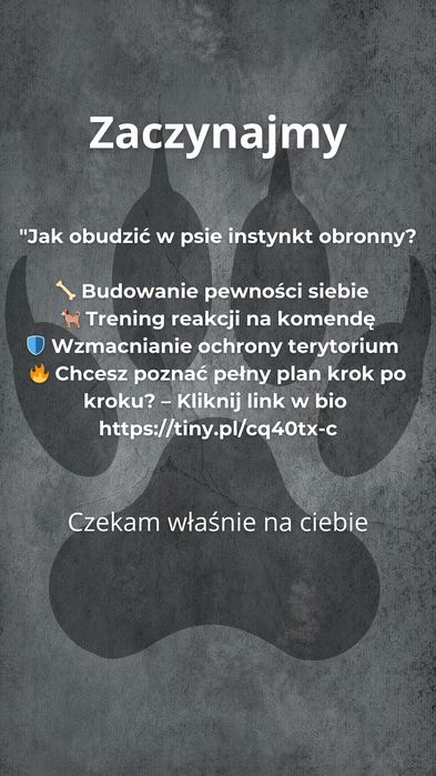 Mistrz posłuszeństwa i obrony kompletny przewodnik treningowy e book