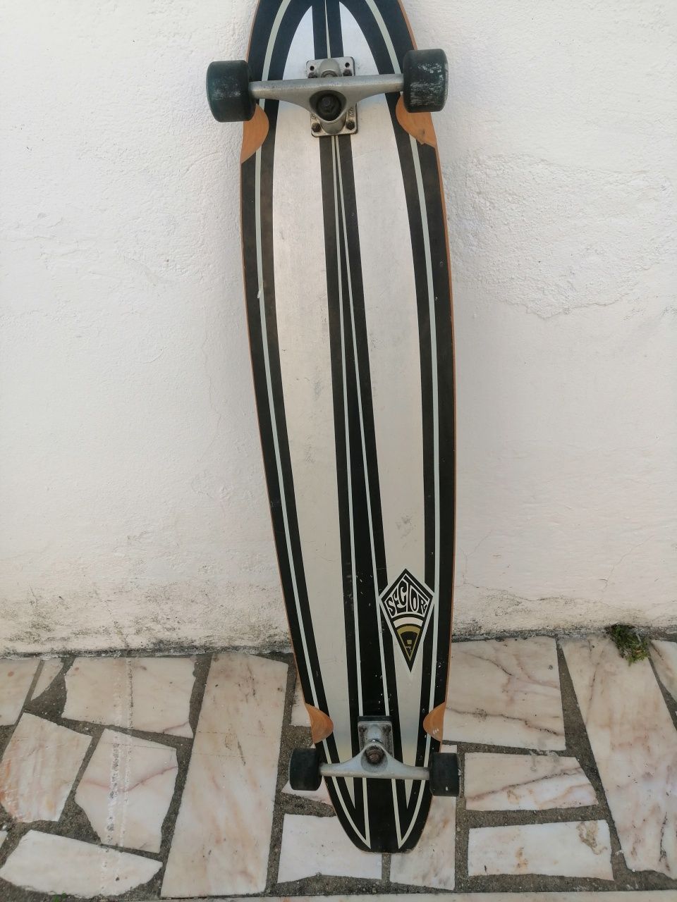 Skate longborde setor 9