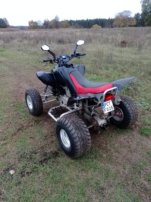 Quad Dinli 450 zarejestrowany
