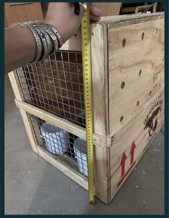 Caixa para transporte de cao ou gato