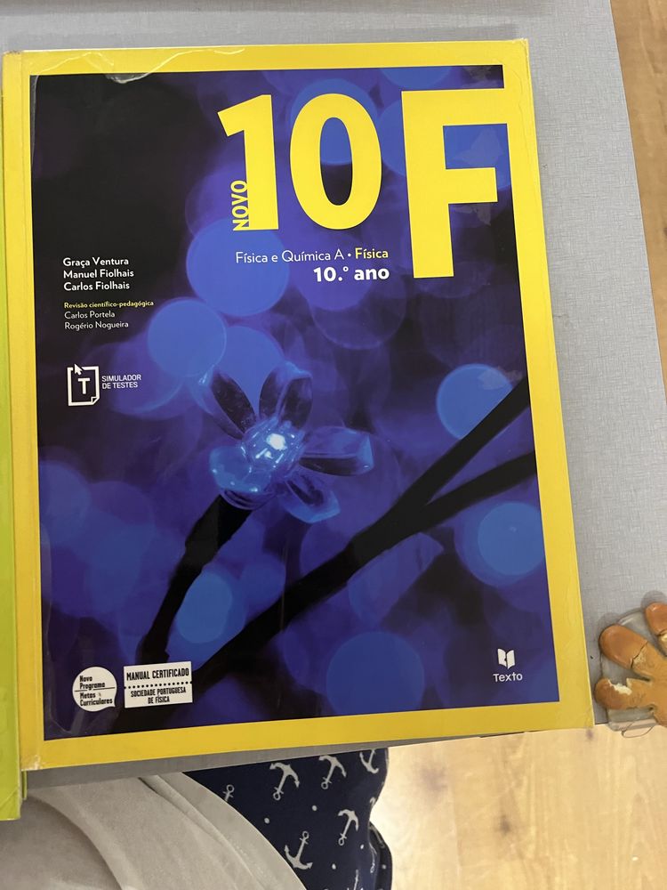 Livros escolares de fisico quimica do 10 e 11 ano, caderno de atvidade