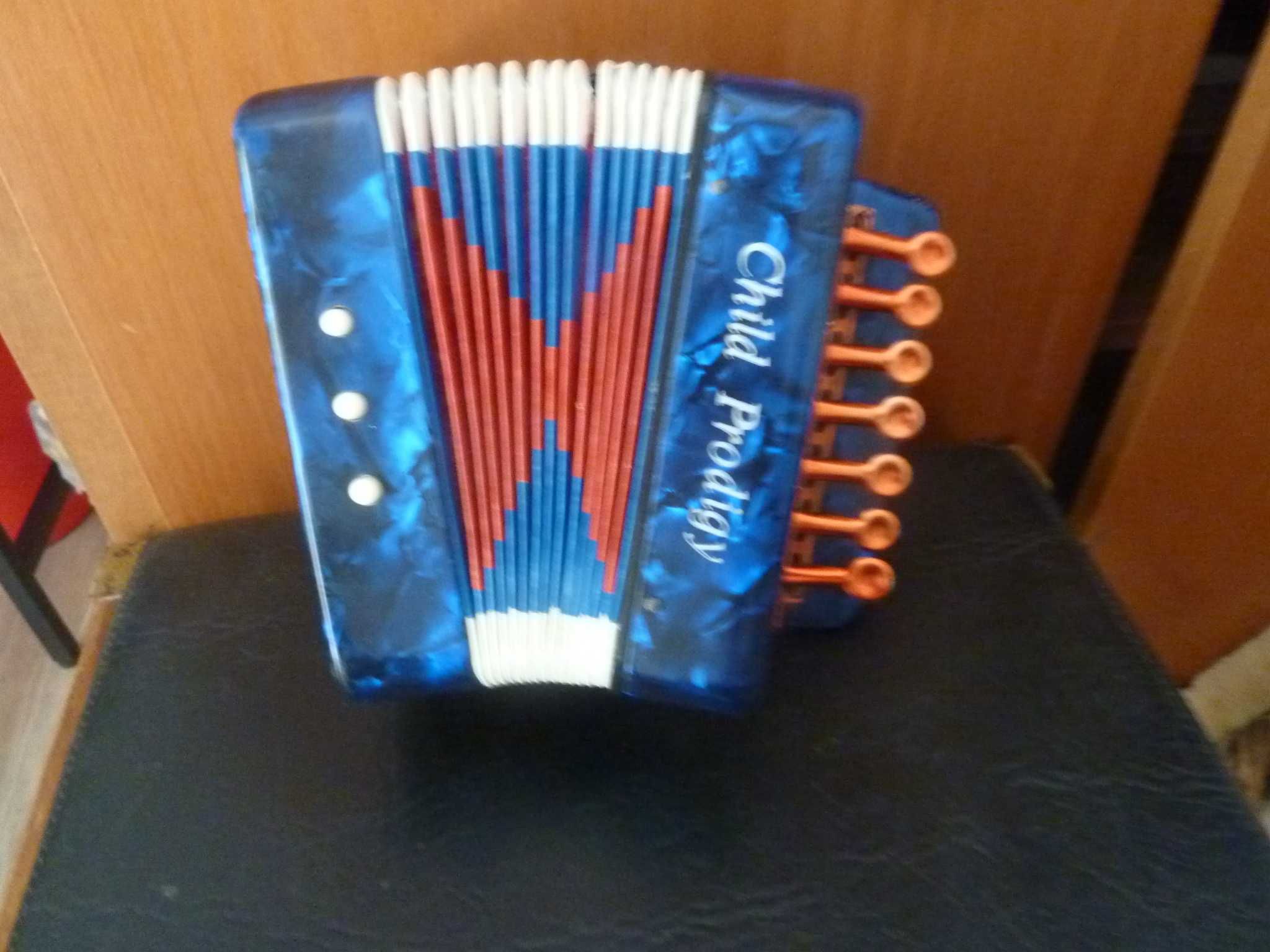 Acordeão dos Pequeninos