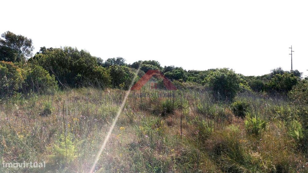 Terreno Rústico  Venda em Almoster,Santarém