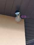 Kamery - Monitoring, Alarm - darmowa wycena, Gwarancja 36mcy, FV