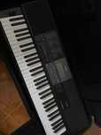Teclado Casio CT-X800 + Saco Gator + Tripé