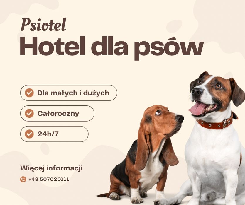 Domowy hotel dla psów, petsitter